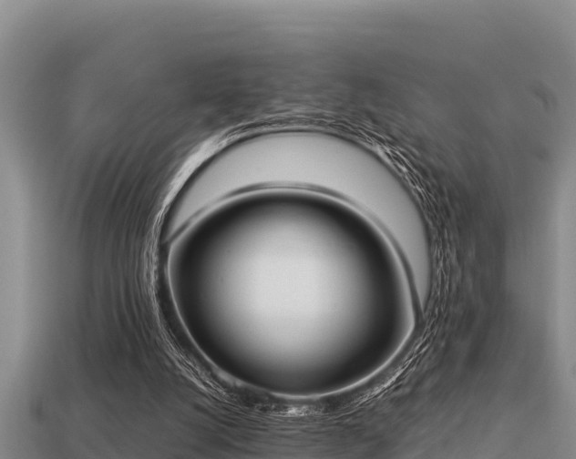 X0000113210056200909171543