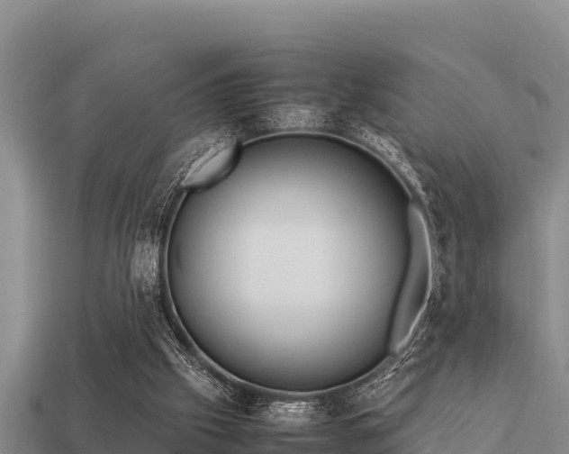 X0000113210057200909171543