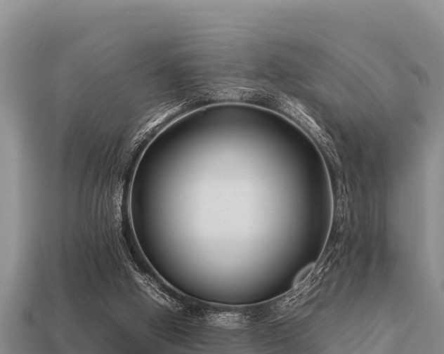 X0000113210058200909171543