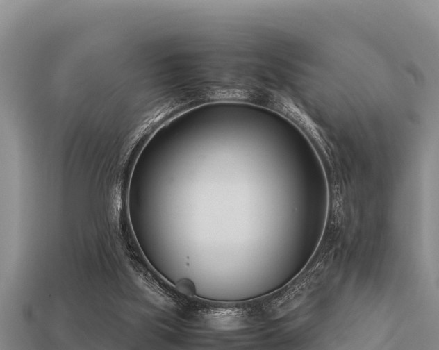 X0000113210059200909171543