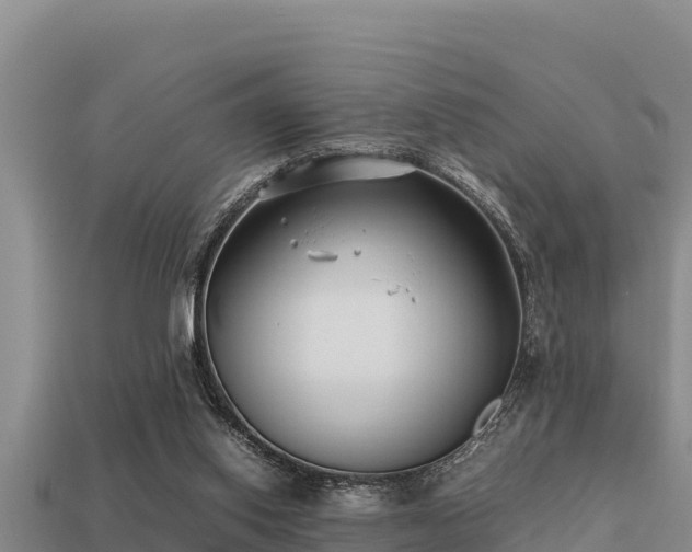 X0000113210062200909171543