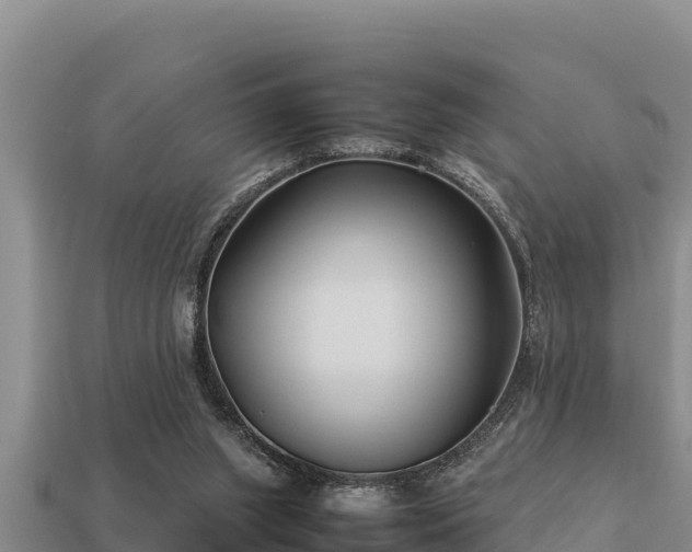 X0000113210063200909171543