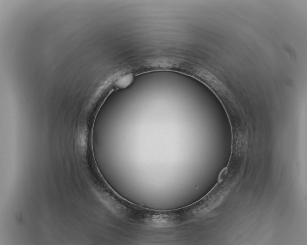 X0000113210064200909171543