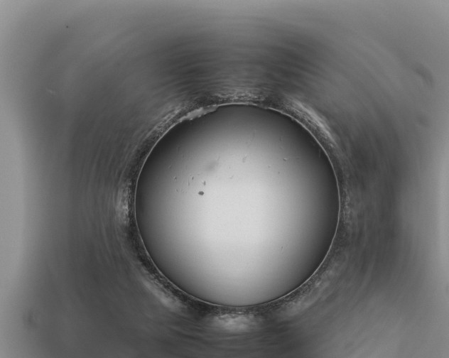 X0000113210065200909171543