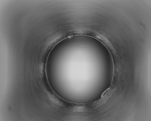 X0000113210066200909171543