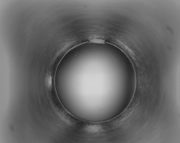 X0000113210067200909171543