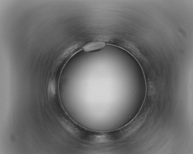 X0000113210068200909171543