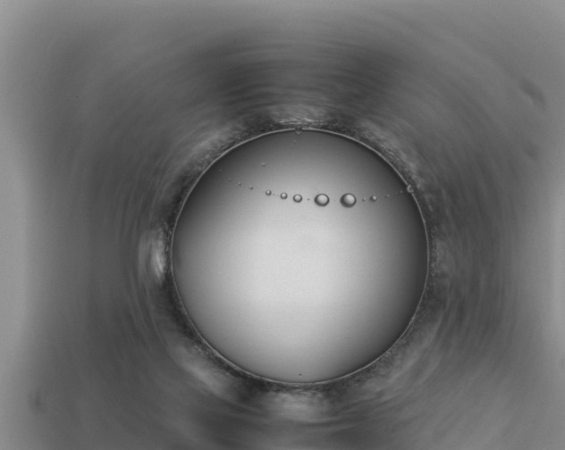 X0000113210069200909171543