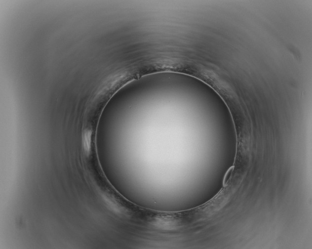 X0000113210070200909171543