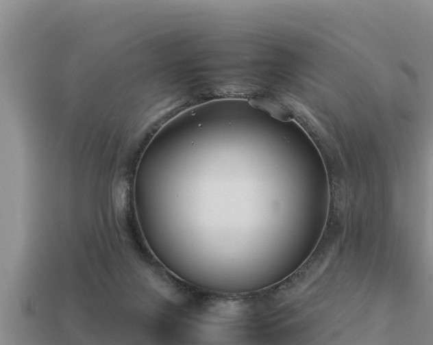 X0000113210071200909171543