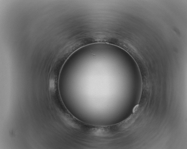 X0000113210074200909171543