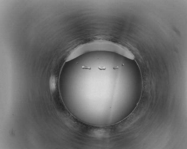 X0000113210075200909171543