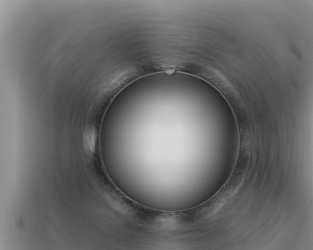 X0000113210076200909171543