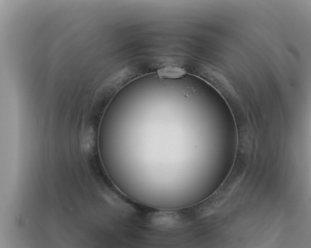 X0000113210077200909171543