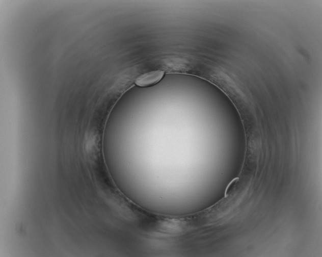 X0000113210079200909171543