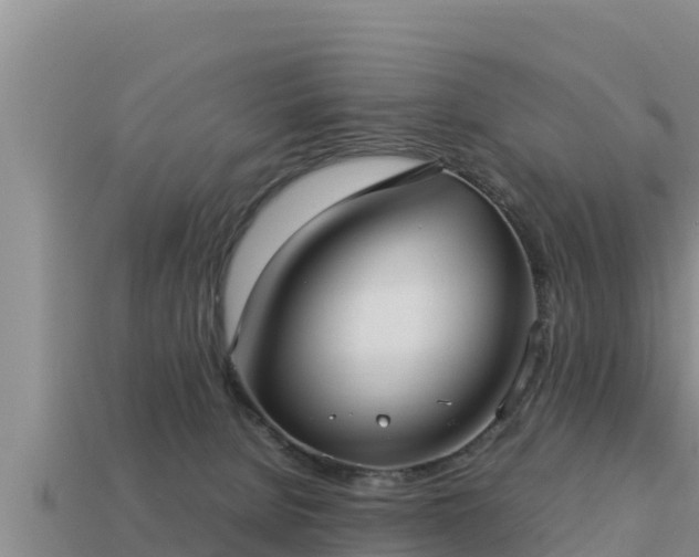 X0000113210080200909171543