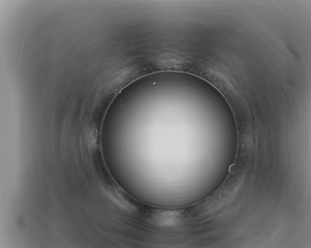 X0000113210081200909171543