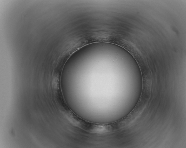 X0000113210083200909171543