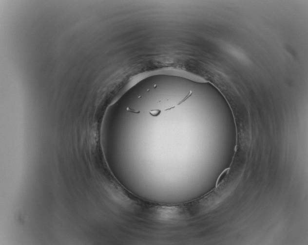 X0000113210085200909171543