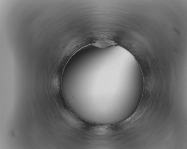 X0000113210086200909171543