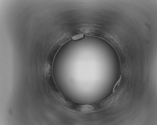 X0000113210087200909171543