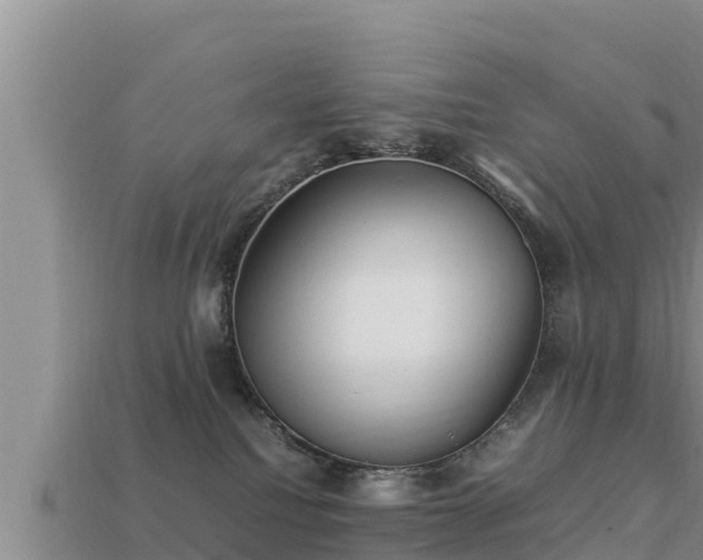 X0000113210088200909171543