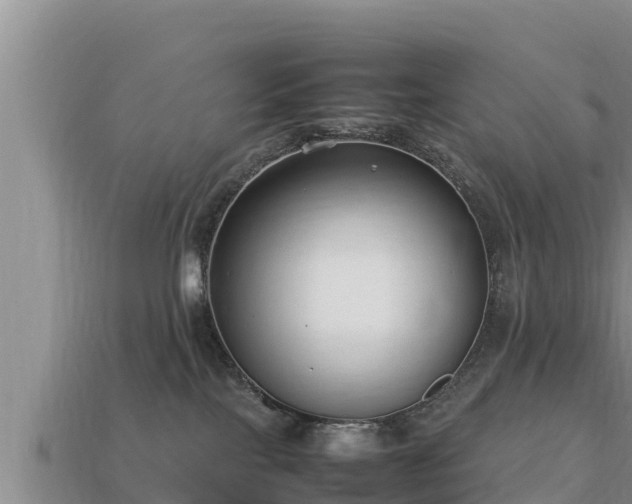 X0000113210089200909171543