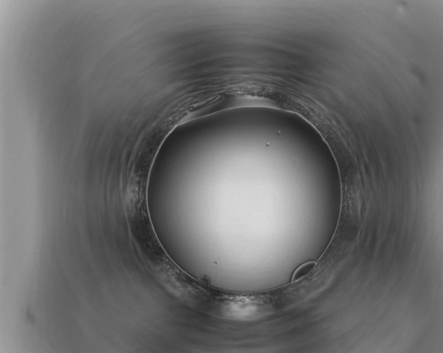 X0000113210091200909171543