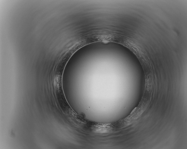 X0000113210093200909171543