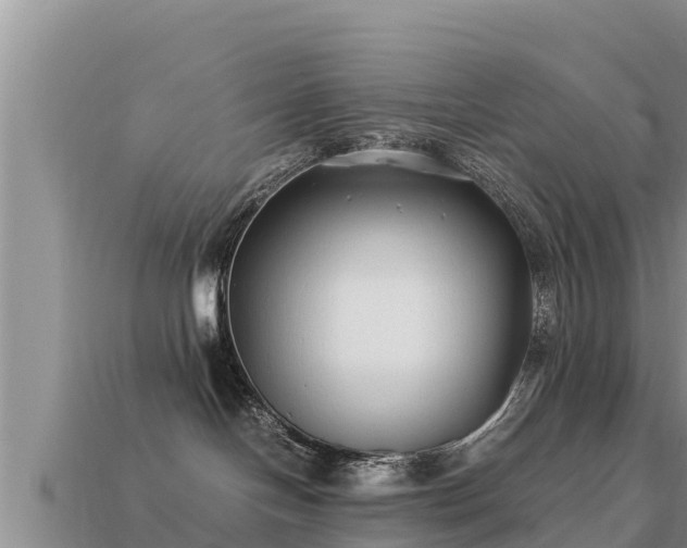 X0000113210094200909171543