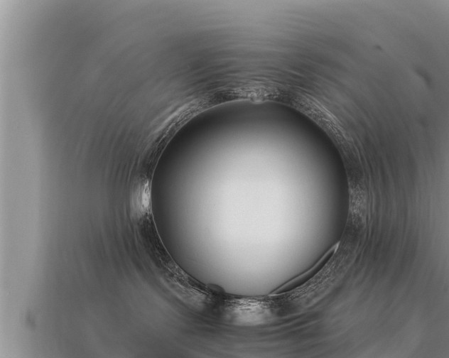 X0000113210095200909171543