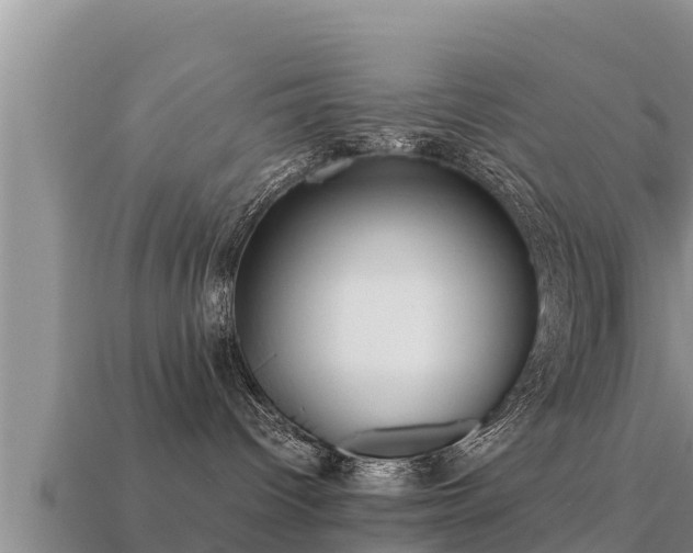 X0000113210096200909171543