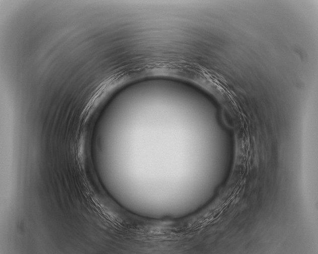 X0000113210098200909171542