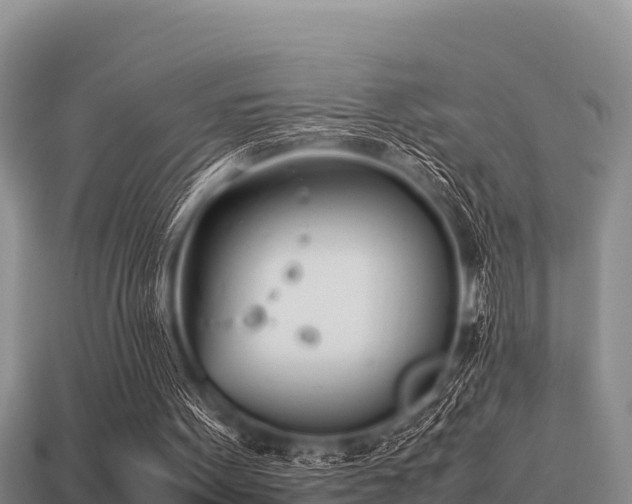 X0000113210099200909171542