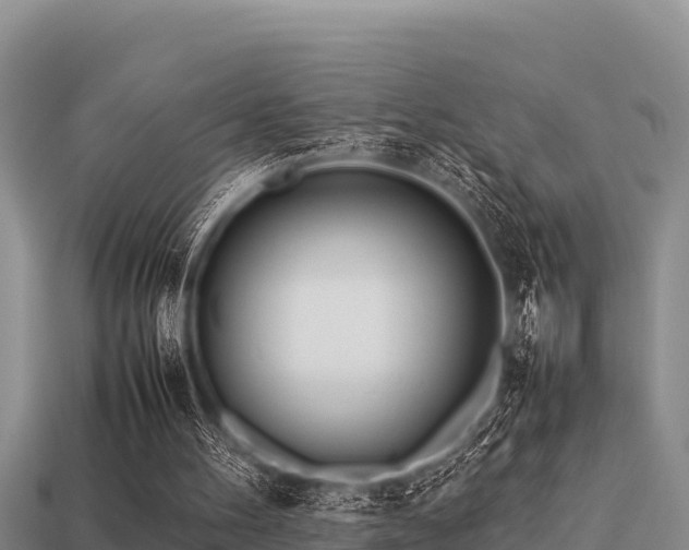 X0000113210100200909171542