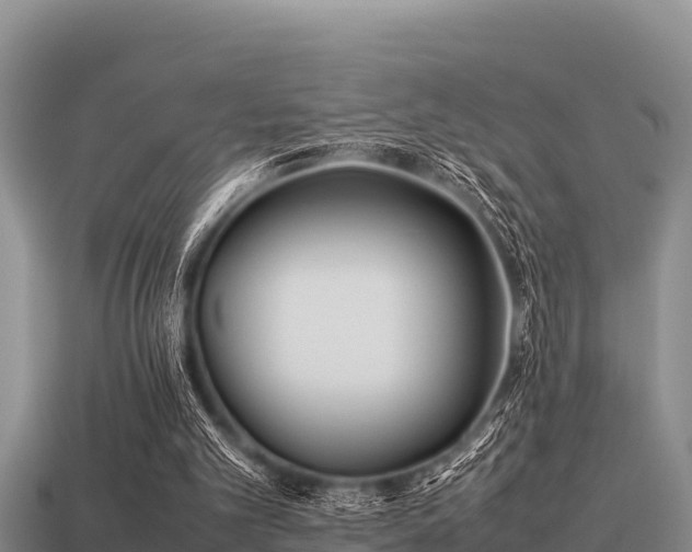 X0000113210101200909171542