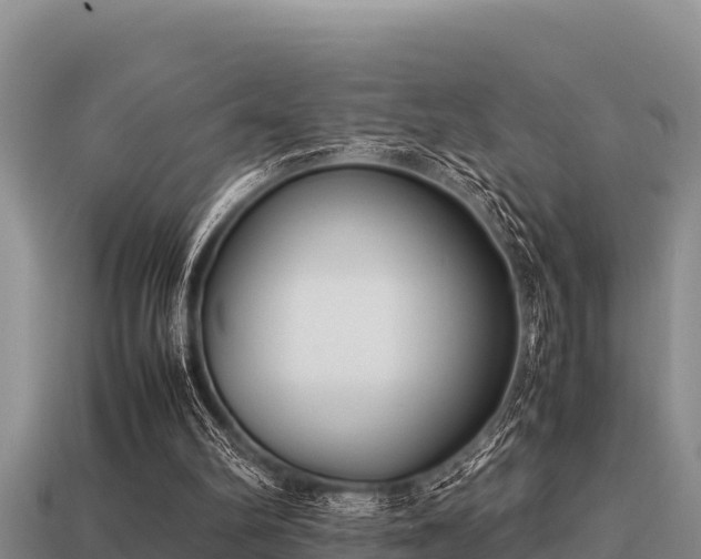 X0000113210102200909171542