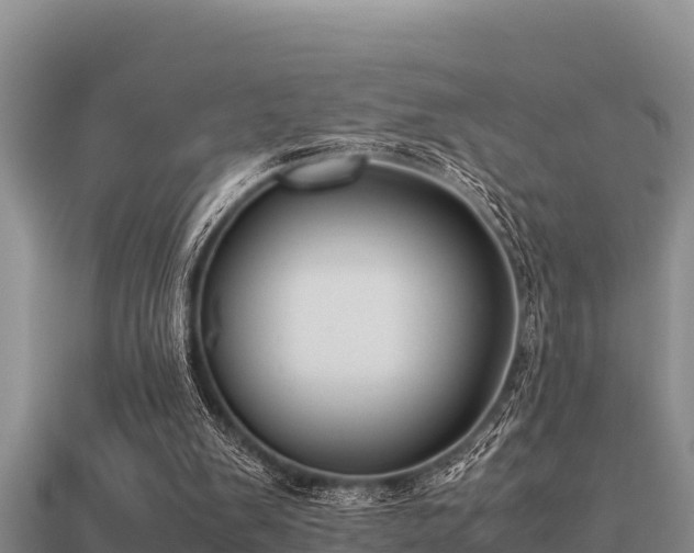 X0000113210103200909171542