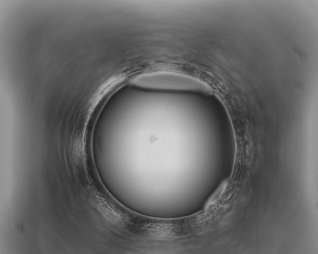 X0000113210104200909171542