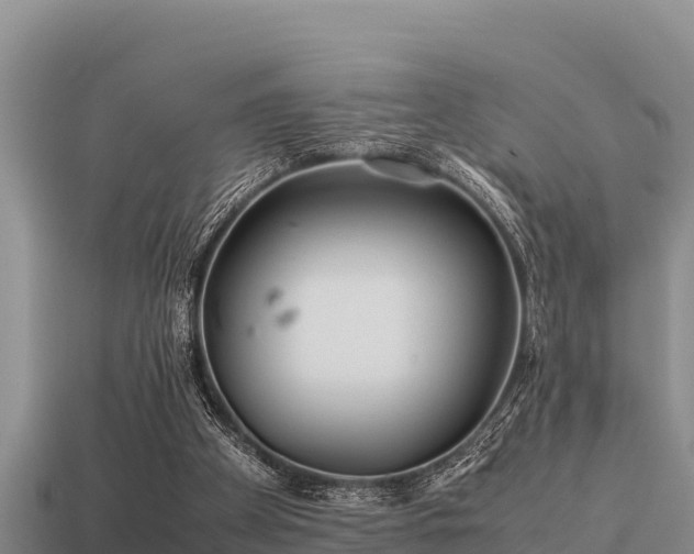 X0000113210105200909171542