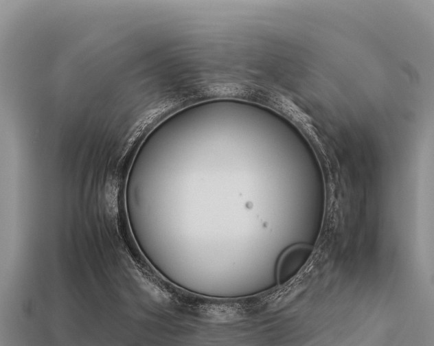 X0000113210106200909171542