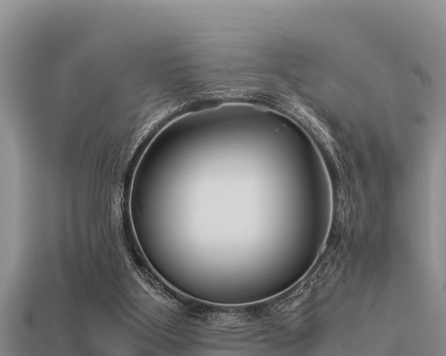 X0000113210107200909171542