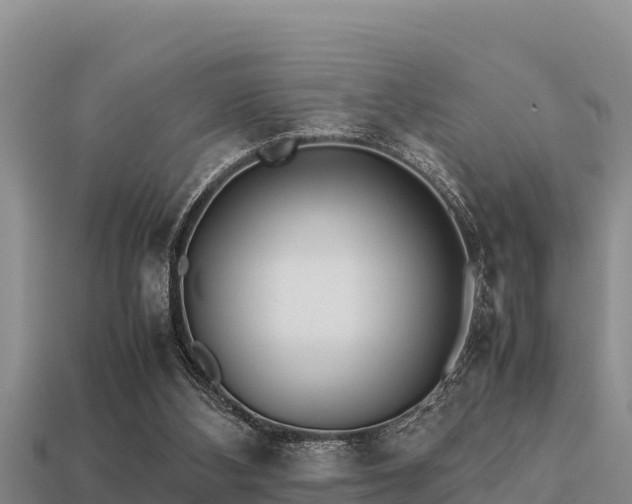 X0000113210108200909171542