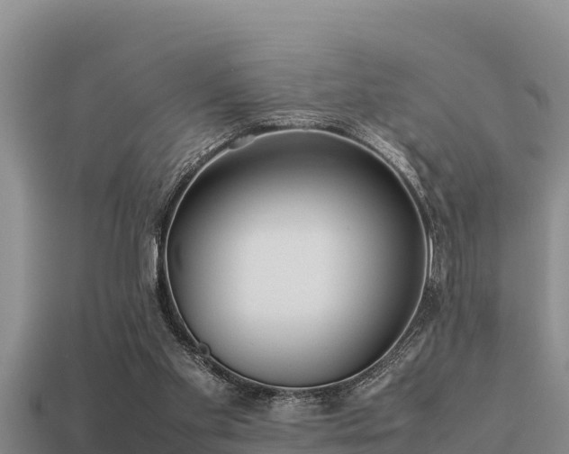 X0000113210109200909171542