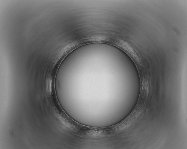 X0000113210110200909171542