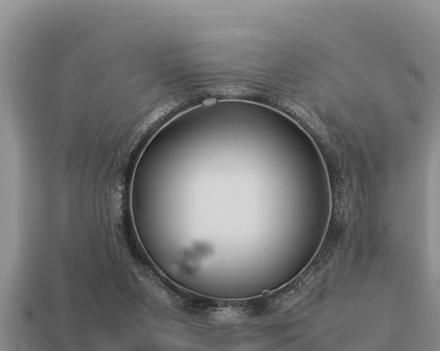 X0000113210111200909171542