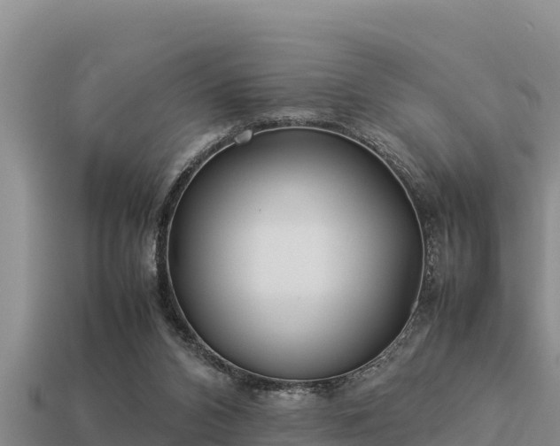 X0000113210112200909171542