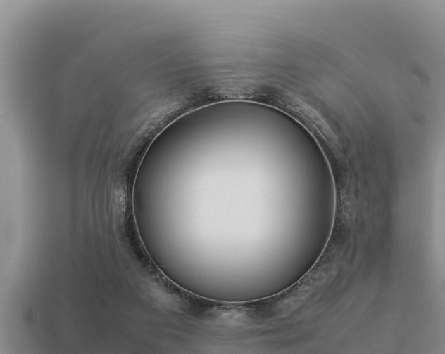 X0000113210113200909171542