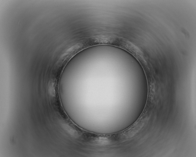 X0000113210114200909171542