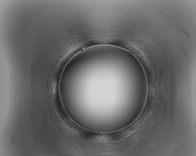 X0000113210115200909171542